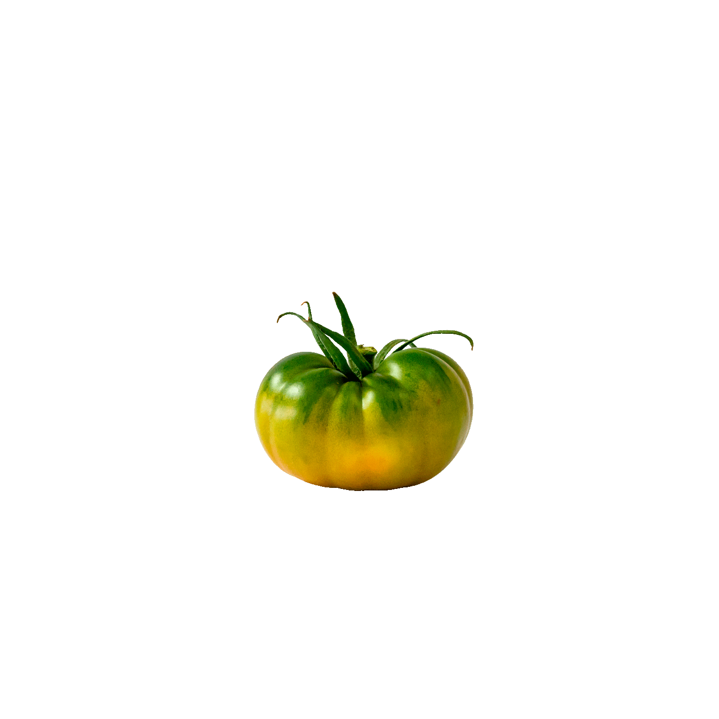 tomate mini raf