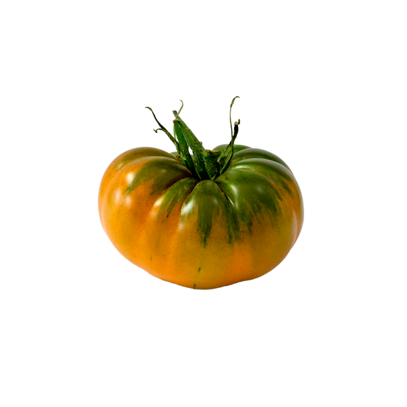 tomate raf pinton maduro