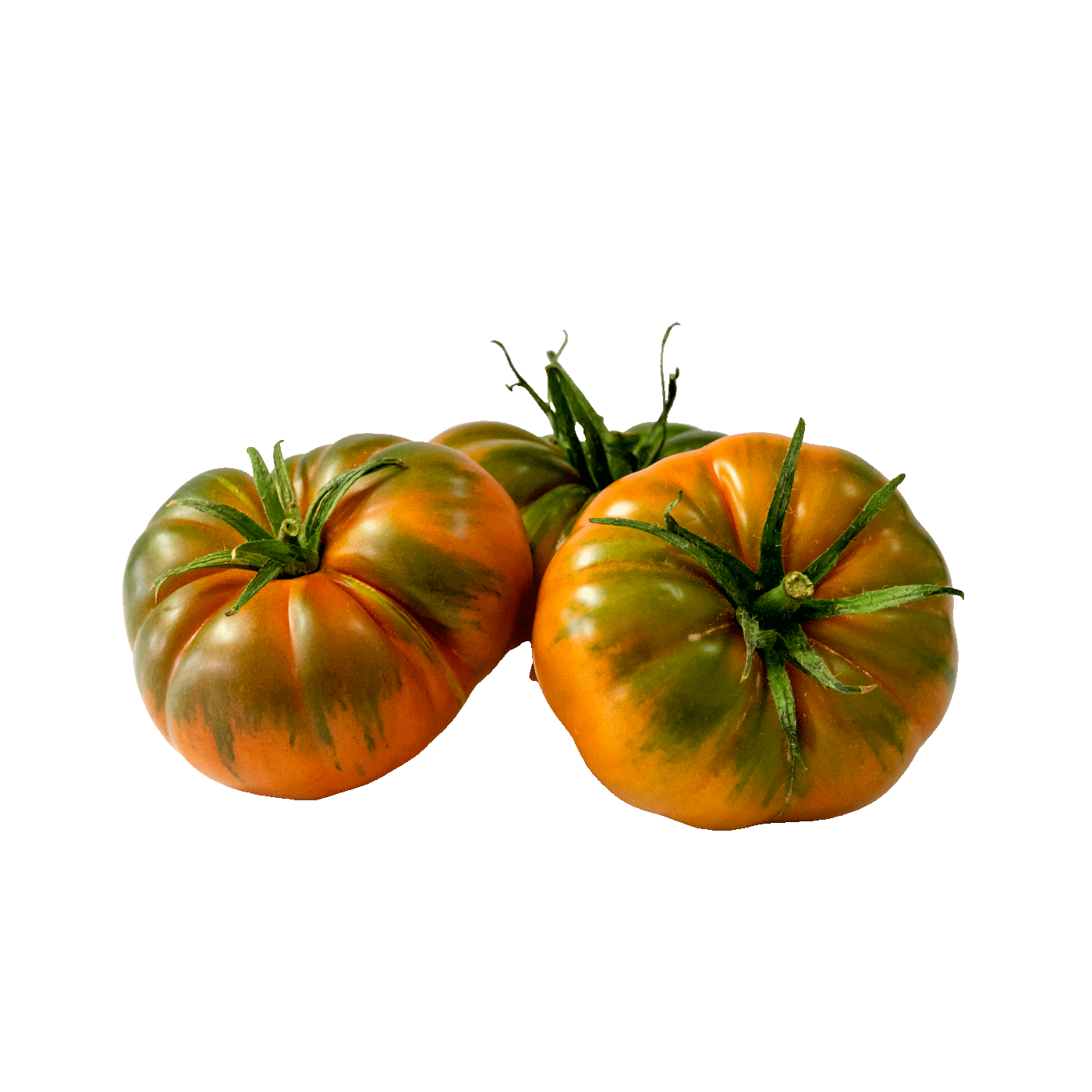 tomates raf pinton almeria