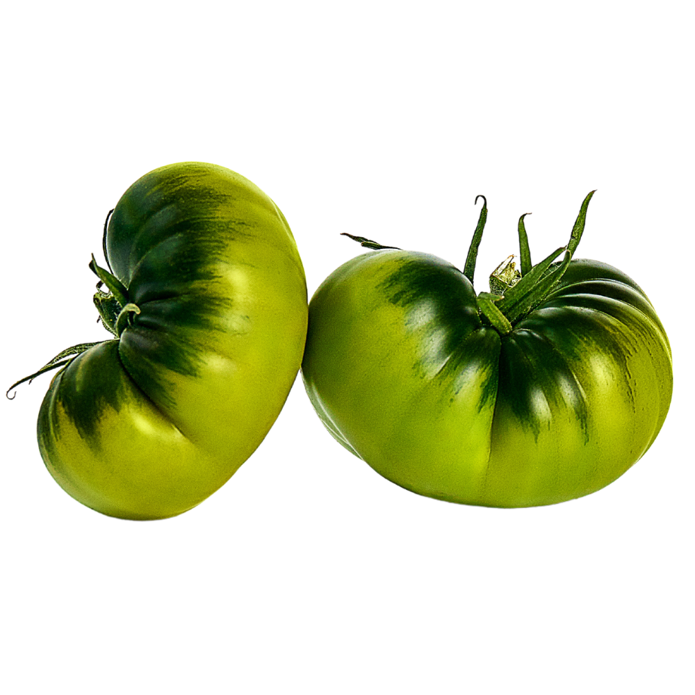 tomate raf categoria premium